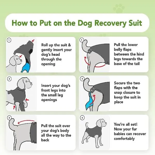 Suitical Recovery Suit for Dogs